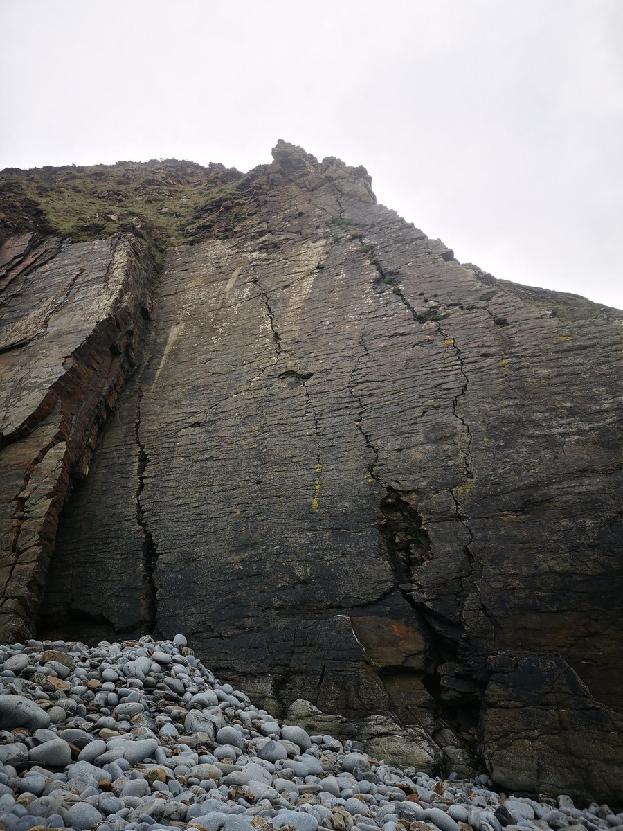 For FUCKS sake.
2 Highland terriers have just chased my pregnant Herdwicks and 2 have gone over the cliff.
The owners denied seeing signs despite walking straight past them and said they thought of themselves as responsible dog owners. 😡