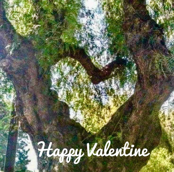 To prolong #ValentinesDay, here is a list of beautiful songs in the language of love. Kindly follow me on #Spotify Micheline Van Hautem for more Chansons?Toujours! playlists. #frenchmusic #frenchchanson #chansonsfrançaises open.spotify.com/playlist/5pNNd…