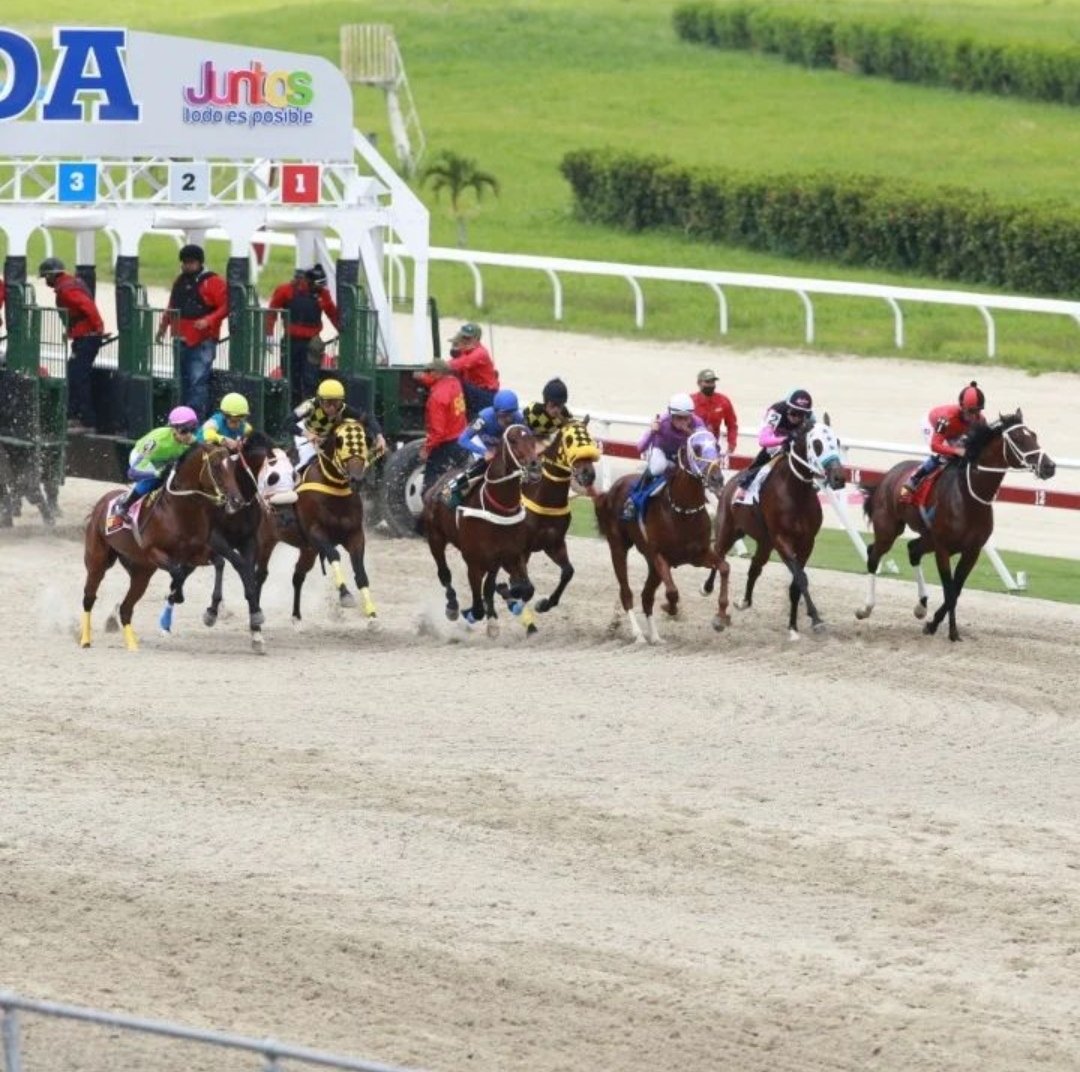 Domingo 16 de febrero en #LaRinconada
1)2-6-3
2)3-7-6
3)5/ 7-2
4)7-1-3
5)2-5-4
6)13-9-14
7)6/ 11-5 
8)6-5-4
9)10-4-1
10)2-5-10
11)6-9-14