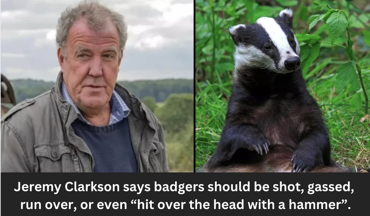 Stupid man. 

Use this post for good and sign the govt petition to end the Badger cull petition.parliament.uk/petitions/7003…