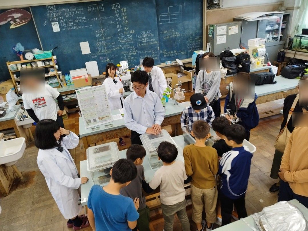 OsakaVolunteer's tweet photo. ＼ #環境 ／いきもののお世話体験🐸

#生物多様性 に触れ、「いきものを守る事ができる生き物好き」になりましょう！

日時：月~水,金 15:30-17:00の間で相談
場所：大阪府立枚方高校（最寄：京阪本線「枚方市」）
募集先：ひらかた生物飼育部LABO @HiraLABO

詳細
☞ https://t.co/QvjXfpZrOT

#M330 https://t.co/8vCLSiS1mo