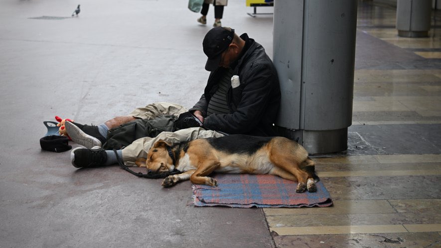 CerfiaFR's tweet photo. 🇫🇷🏠 FLASH | L’État est ASSIGNÉ en justice par des associations pour carence fautive dans sa lutte contre le mal-logement. "On considère que l’État est en faute", disent elles, dénonçant un budget largement insuffisant. 350 000 personnes sont SDF en France. https://t.co/FhrLsb84ZJ