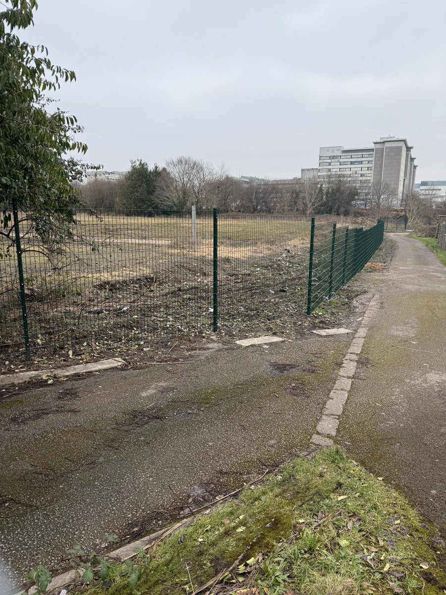 👁️👁️ Out and about on a chilly Sunday

📬 A safer school streets update to residents on Heathfield Rd

🚯 Flytipping and litter spotting tldr; too much

🌿A sneak into Allensbank Allotments

🌻 We’ll be following up on plans for replanting the rain gardens along Allensbank Rd