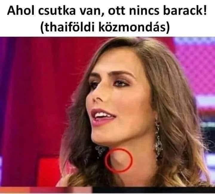 Dávid tweet media