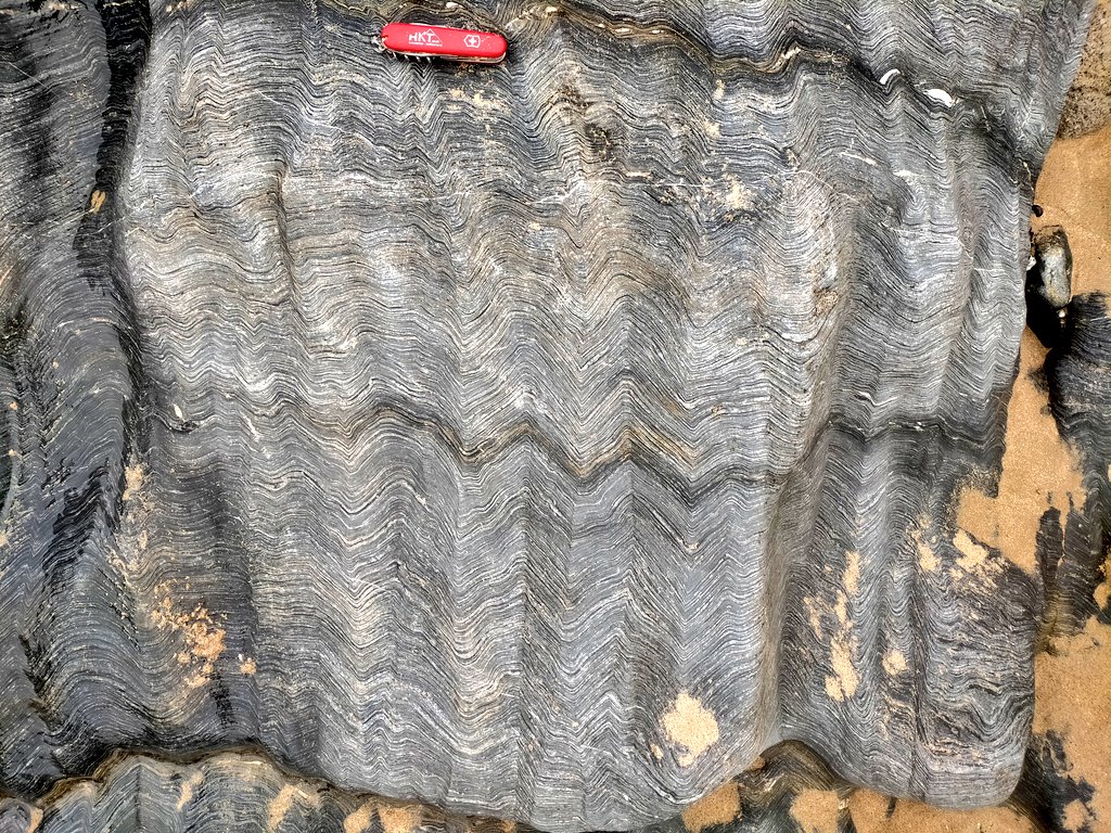 Geology_Tim's tweet photo. These deformed low grade metasediments were deformed during the Variscan Orogeny #Newquay #Cornwallgeology #folds https://t.co/C7XQU2sYEf