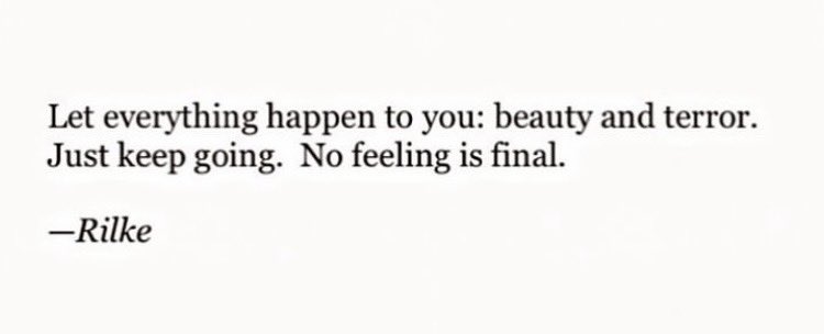 Joseph Fasano (@joseph_fasano_) on Twitter photo 