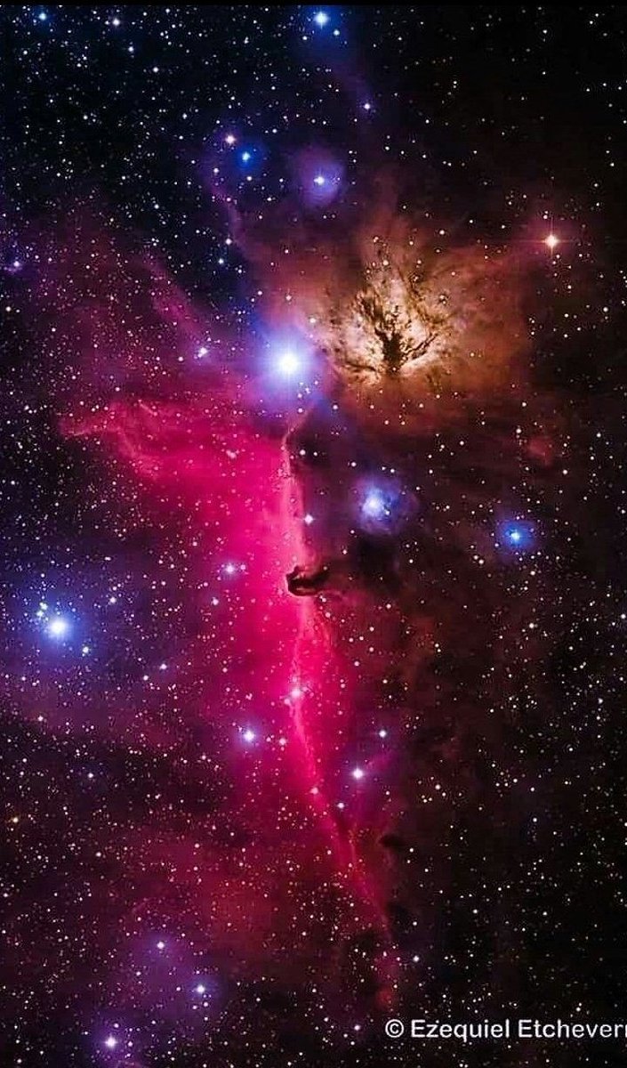 maiz_julio's tweet image. IC434 Horsehead and flame nebula in Orion by 📷 Ezquiel Etxeberry