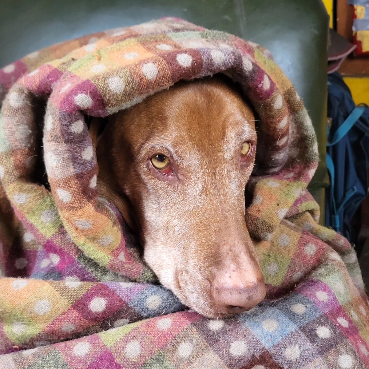 Benjamin Ranyard tweet media