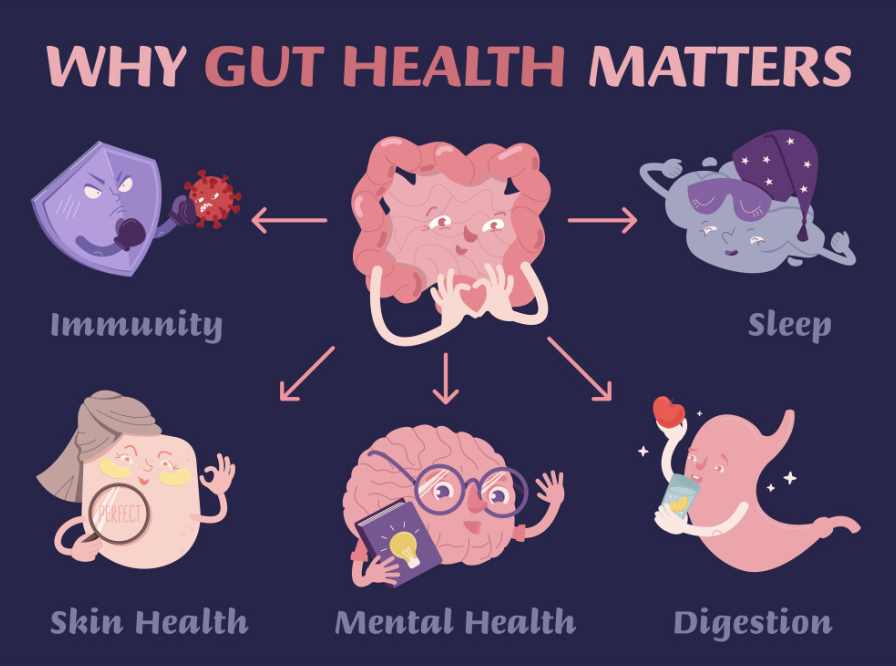 Dr. Gundry emphasizes that maintaining a healthy gut microbiome can help manage chronic illnesses and improve conditions like:

• Leaky Gut
• Autoimmune Diseases
• Heart Disease