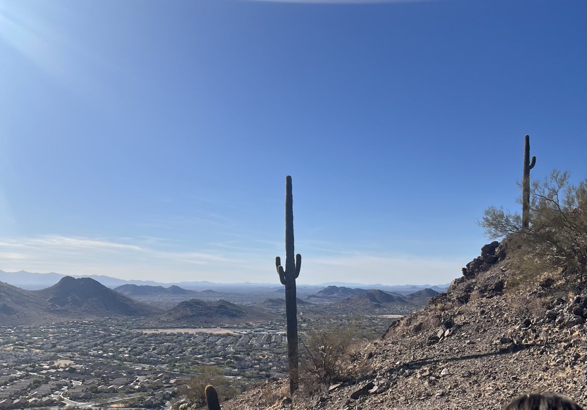 SMCWpg's tweet image. Gorgeous day for some quality time with my boy! #azhiking