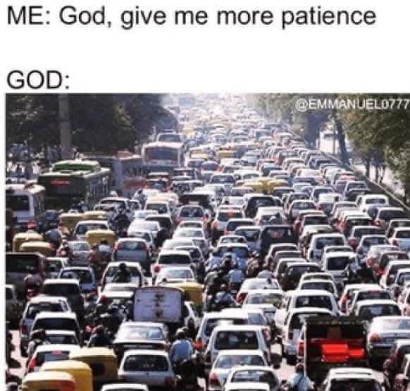 Katie Harrison tweet media