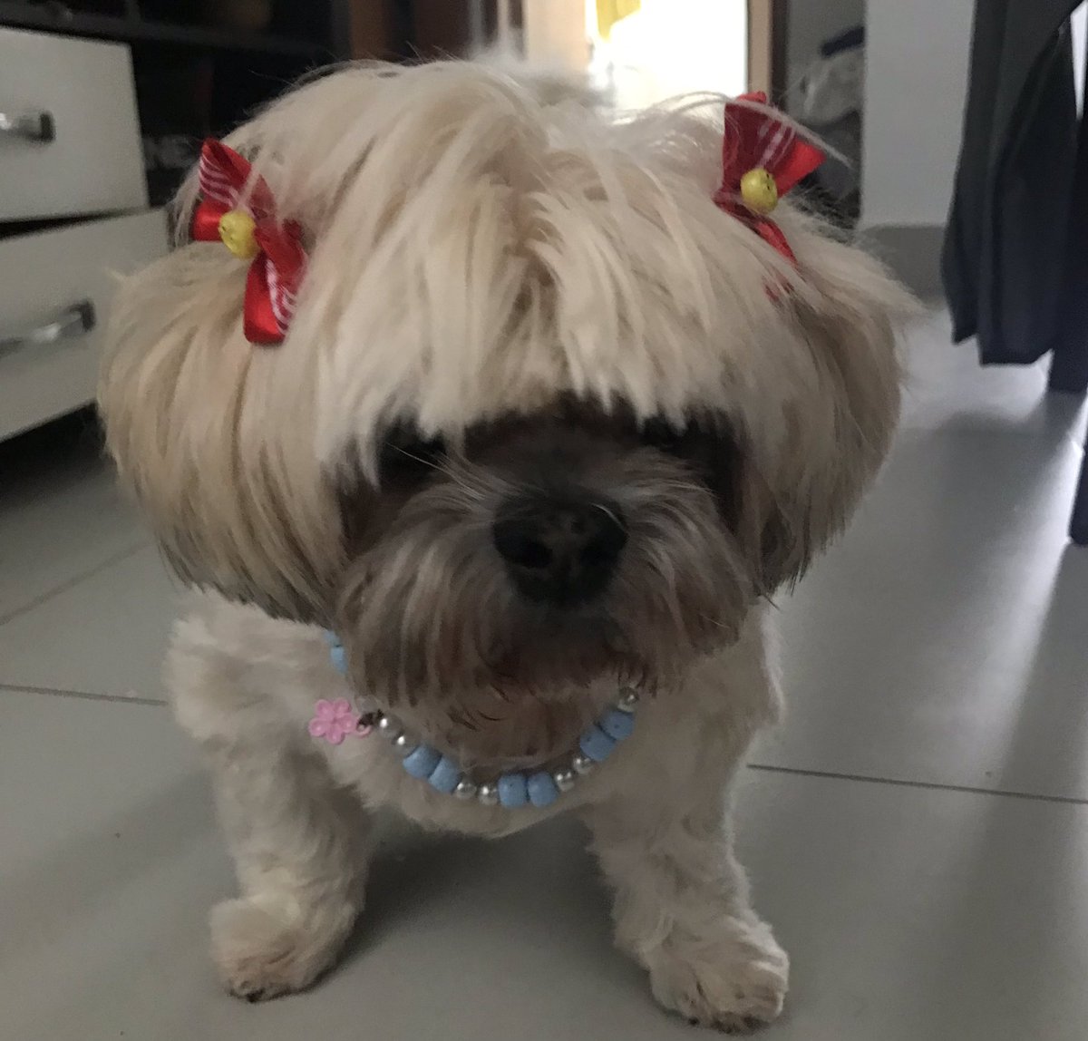Minha companhia mais que maravilha