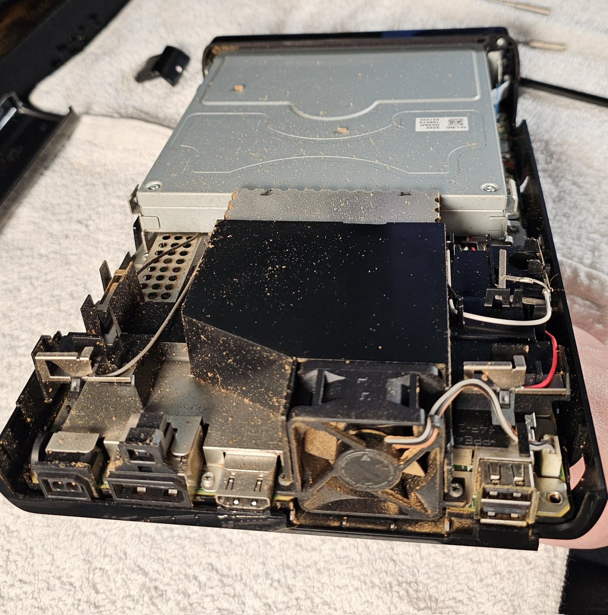 Hazelwize tweet media