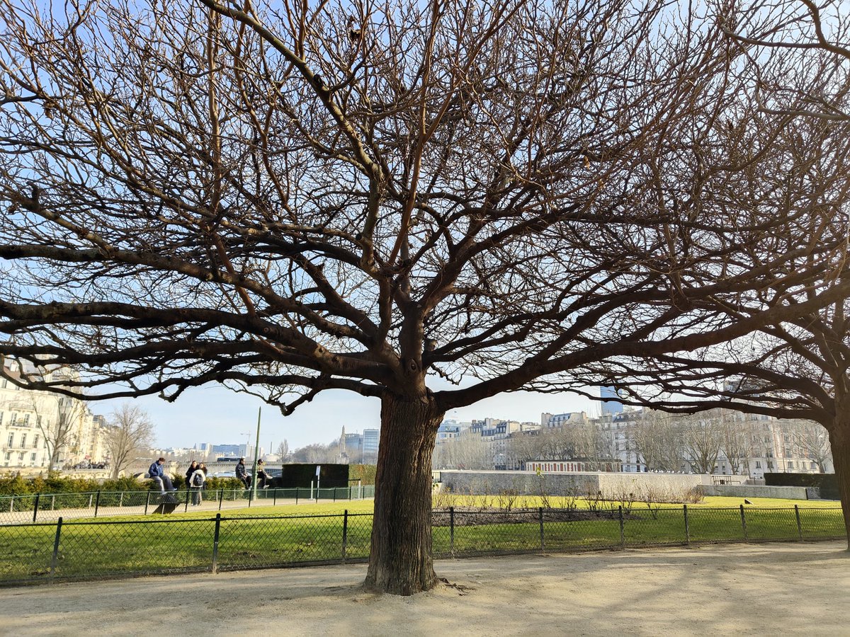 Vélo du Marais 🚴🌹 tweet media