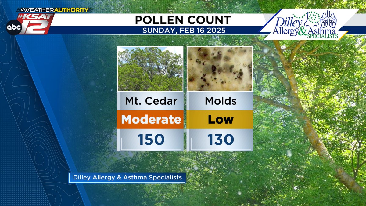 Mia Montgomery tweet media