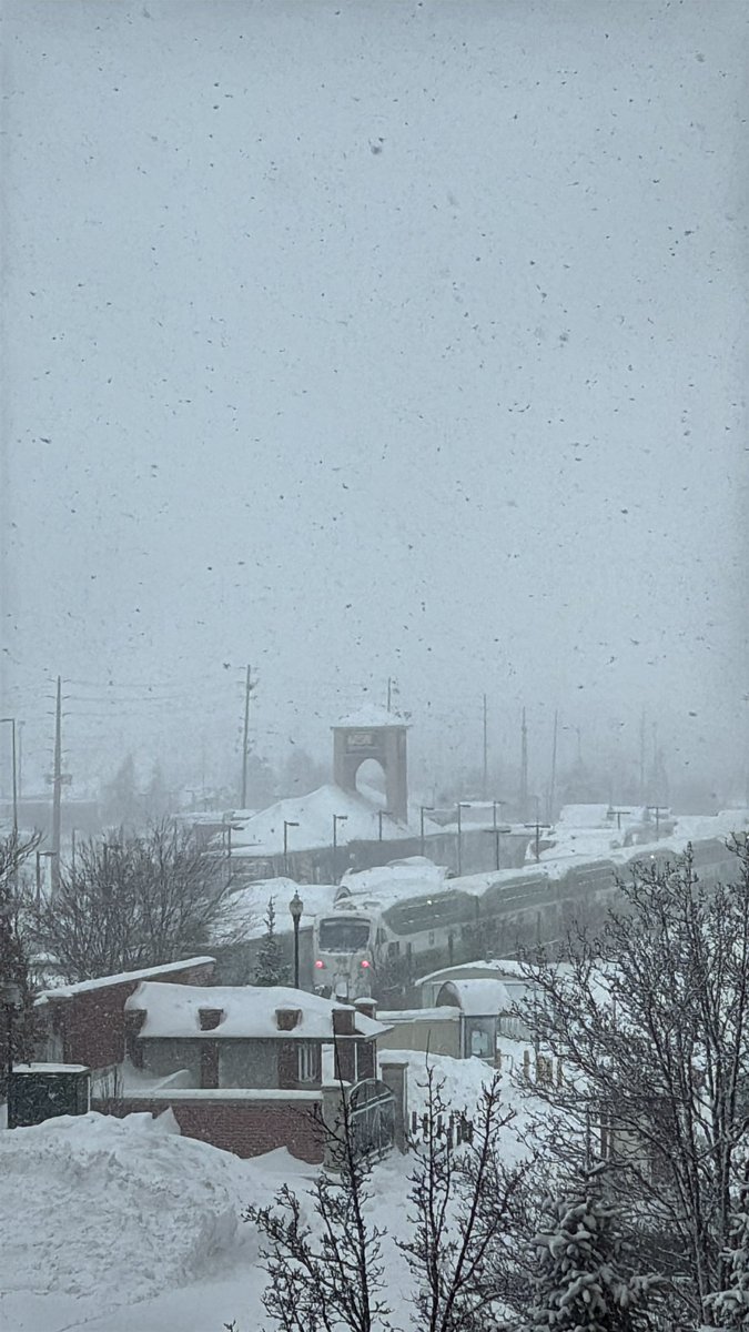 DENISE SEIBEL (She/Her) tweet media