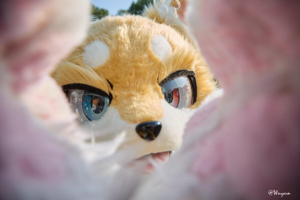 Cookizi (@cookizi) on Twitter photo 