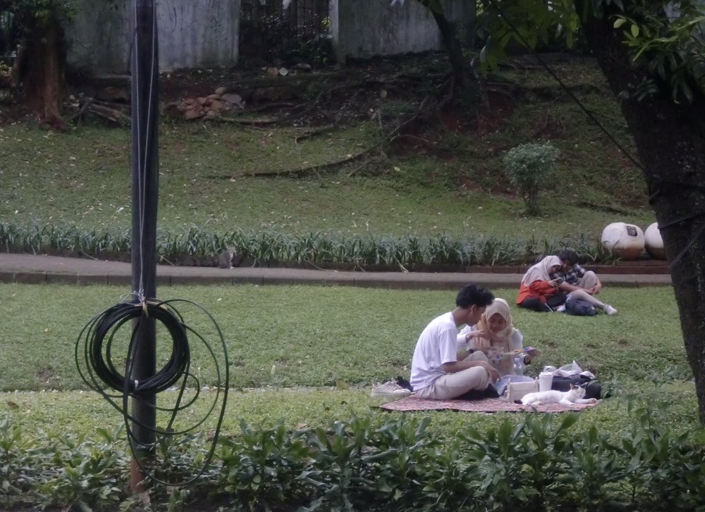 sabijugasi's tweet photo. on February 15th i walked around Taman Langsat where love seemed to linger in every corner <𝟑 ⋆˙⟡ https://t.co/MZgMy46Z6E