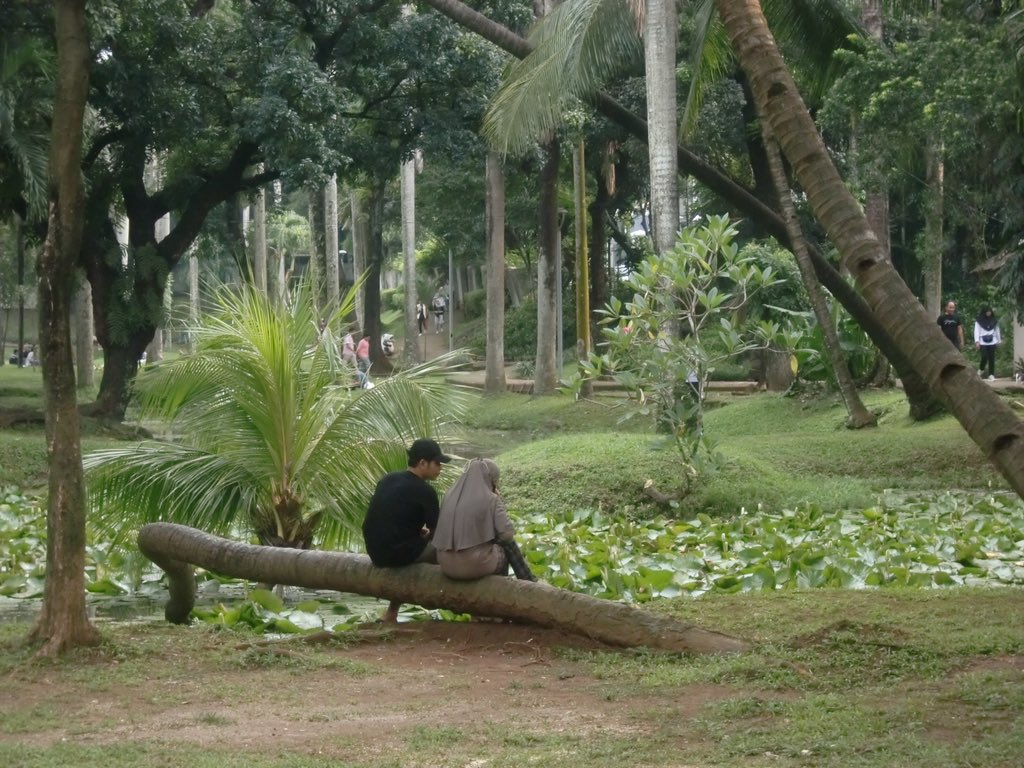 sabijugasi's tweet photo. on February 15th i walked around Taman Langsat where love seemed to linger in every corner <𝟑 ⋆˙⟡ https://t.co/MZgMy46Z6E