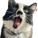 Voodooness tweet media