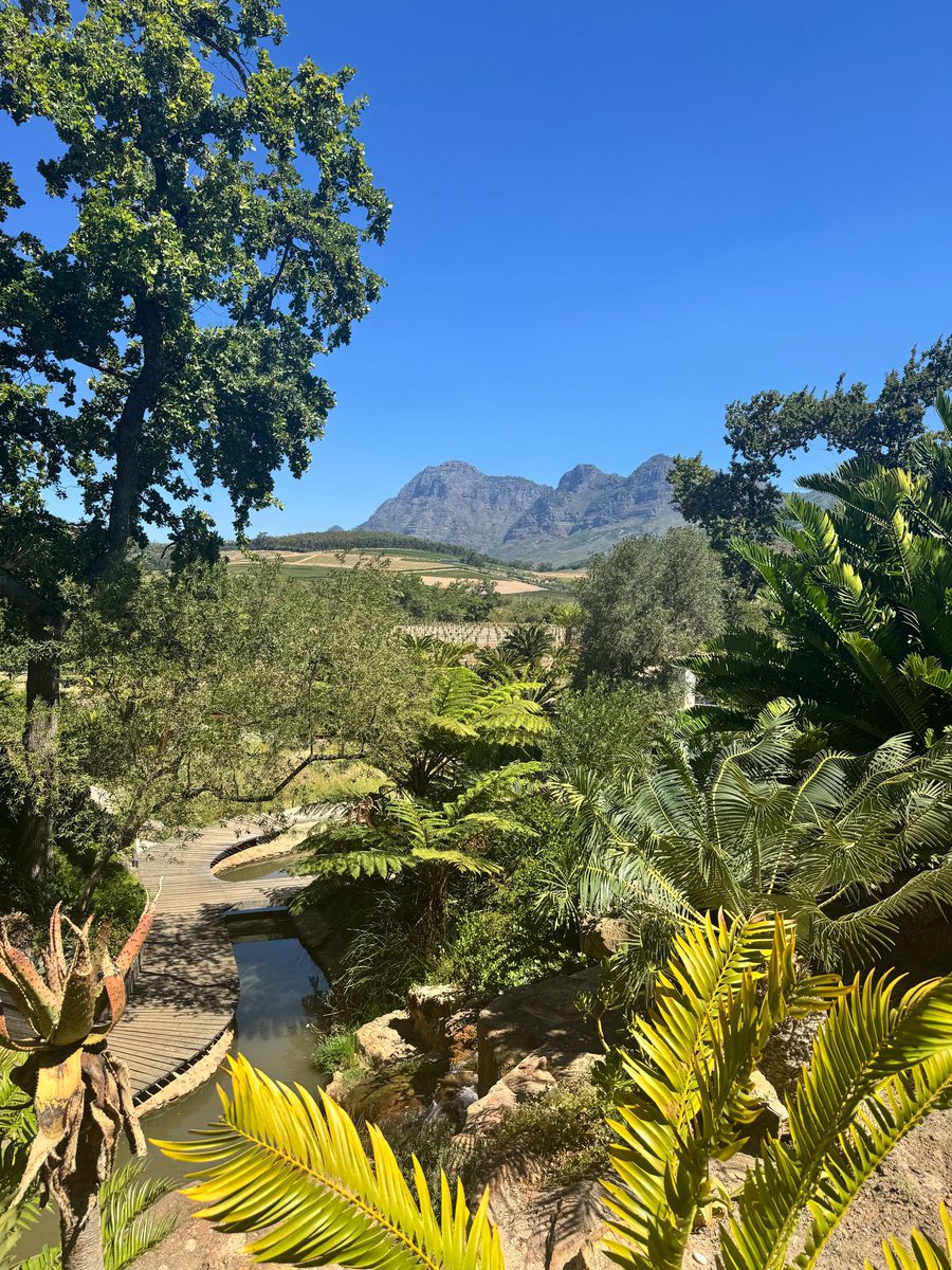 Toet82's tweet image. 🍾