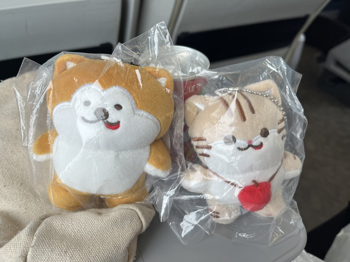 昨年のキュンパス旅で、秋田支社PRキャラ・つがにゃん&あきおの