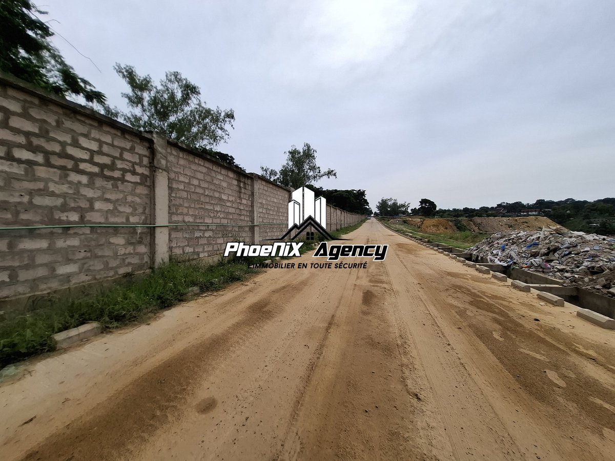 Phoenix_Market_'s tweet photo. Vente - Terrains au CHK dans la commune de Ngaliema
    
WhatsApp & Appel : +243974116497

= Détails : 

• 10M x 20 Mètres à   80.000$
• 20M x 20 Mètres à 160.000$

= Autres détails : 

- L'eau & L'électricité stable
- Accessibilité véhicule : 5/5

• N.B : Tout les terrains sont couverts avec un document du Cadastre.

= Localisation : Kinshasa - Ngaliema 
= Référence : Cité O.U.A vers Tasok - Suka mur.

#immobilier #realestate #appartement #immo #agentimmobilier  #vente #Kinshasa #investissement #investissementimmobilier #architecture #avendre  #achat #location #Congo #maisonavendre #entrepreneur #immobilierkinshasa #courtierimmobilier #investir #achatimmobilier  #Rdcongo