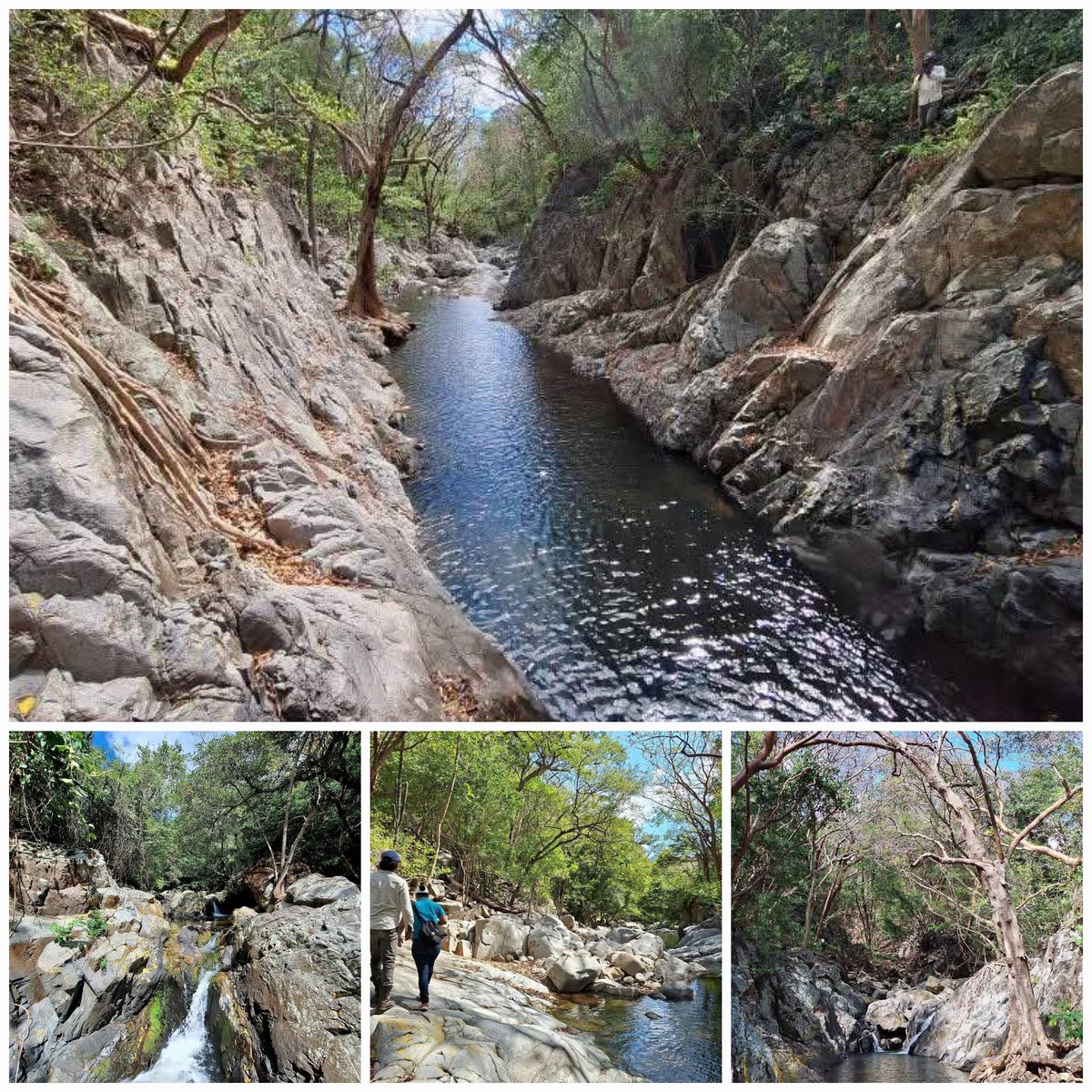 💥¡Buenos días camaradas!

La naturaleza privilegiada d la finca La Granja, ubicada en el centro de la Reserva Natural de Amerrique (Juigalpa). 

📲 86136025 - 87254084.
📷 Intur Chontales 

#Nicaragua