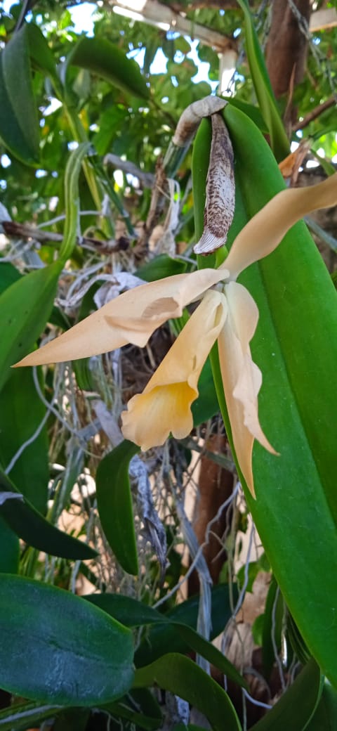 inilsa vivas (@inilsa) on Twitter photo 