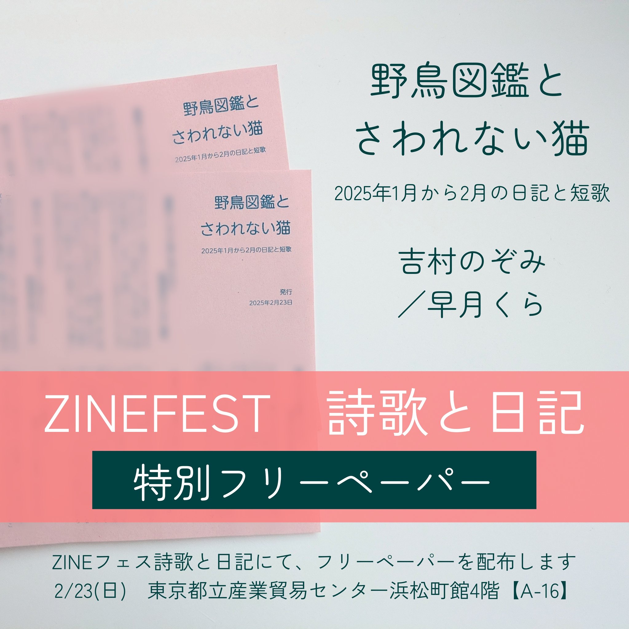 絶島」 (@theoutisland) / X 絶島」 (@theoutisland) / X