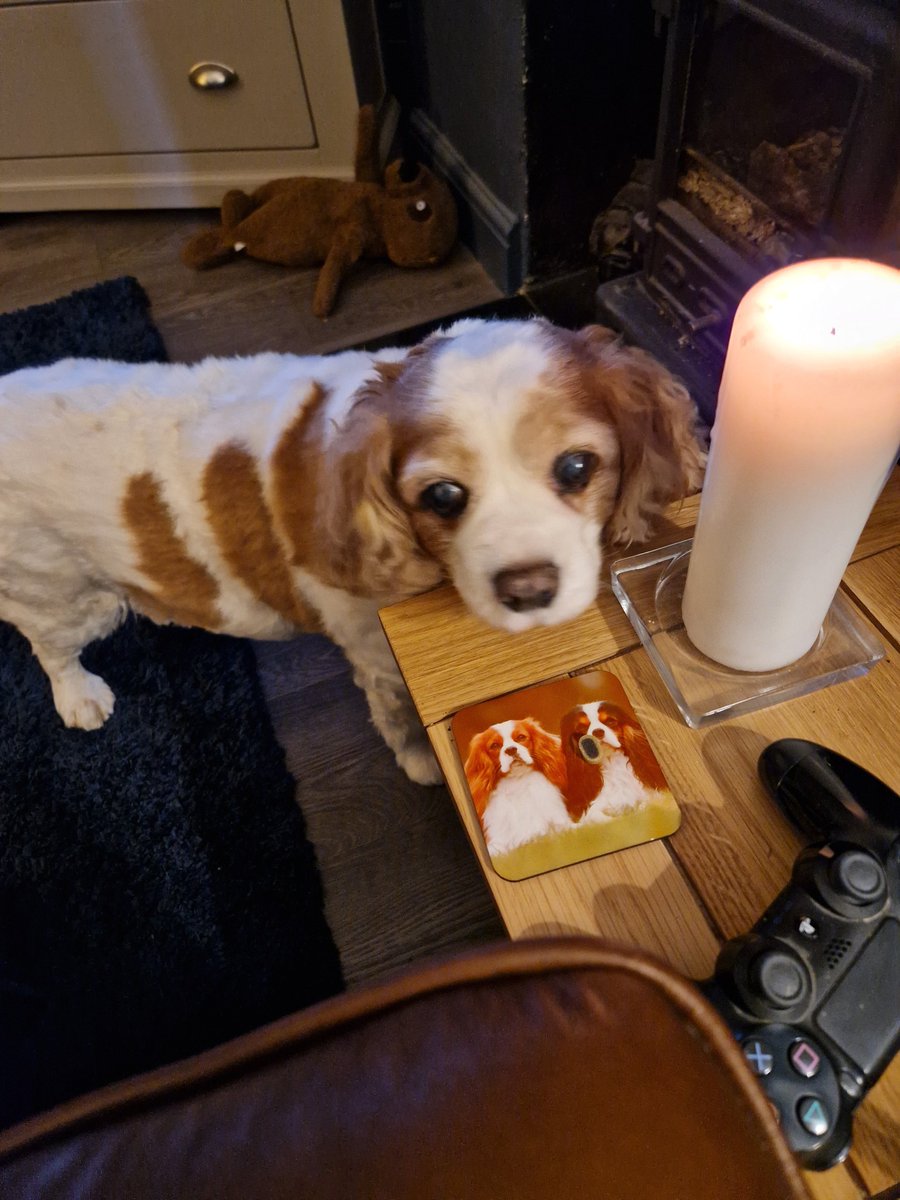 Michaelbayes8's tweet photo. #RememberingSummer fly high 🌈 and run free baby. All our love 💜💜💜 https://t.co/Ib8kCUxAOV