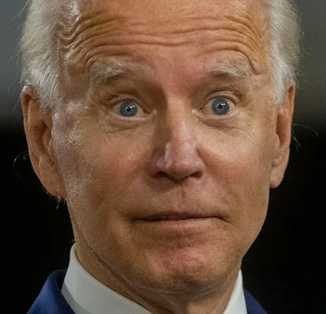 Joe Biden The meme tweet media