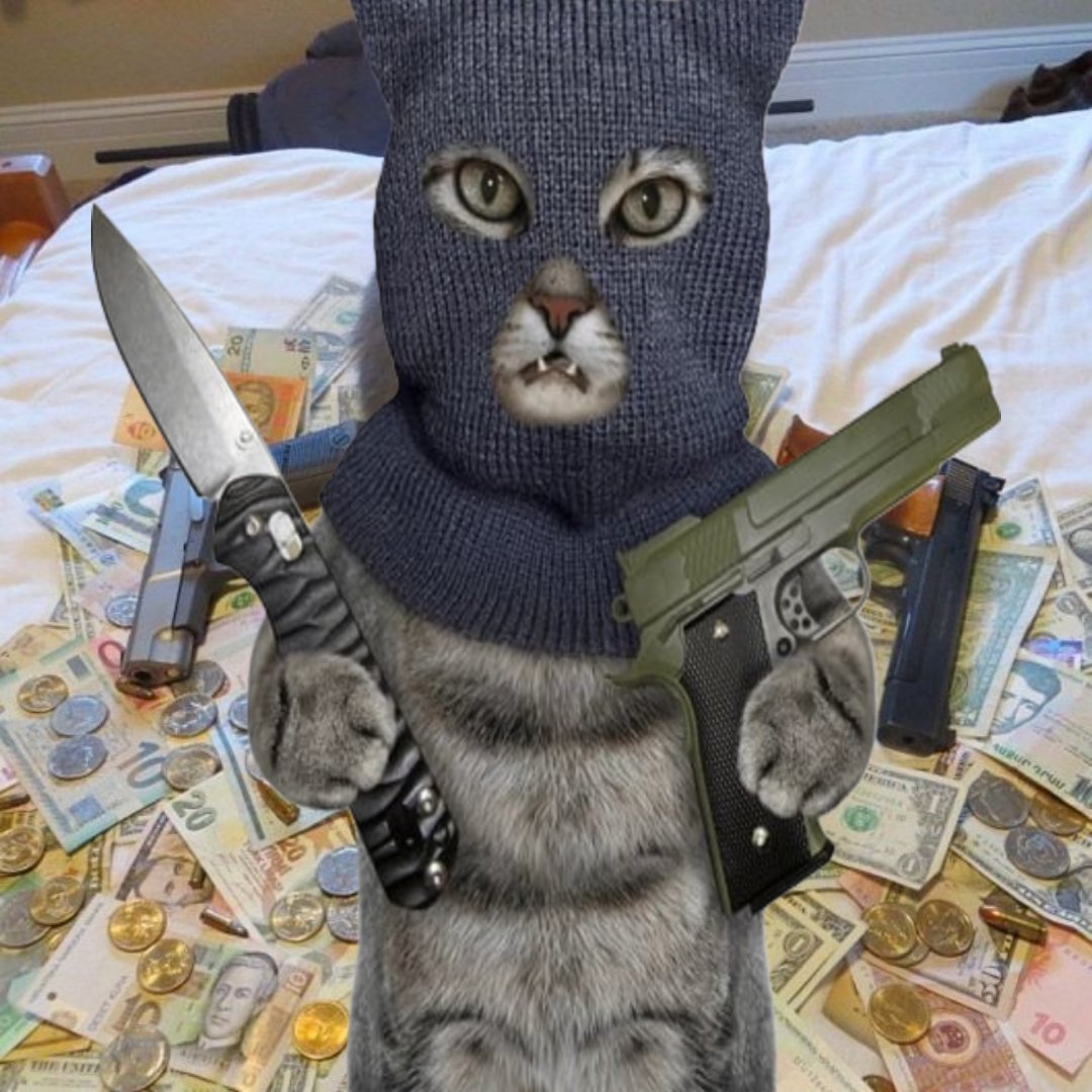 Just buy and hold $RICA 

SEND $RICA TO HIGHER AND BIGGER !

2NToFHyD5Ccu9GhNjneXvSyXokJK2CiJqDm1Mfccpump

#CRIME #CAT $RICA