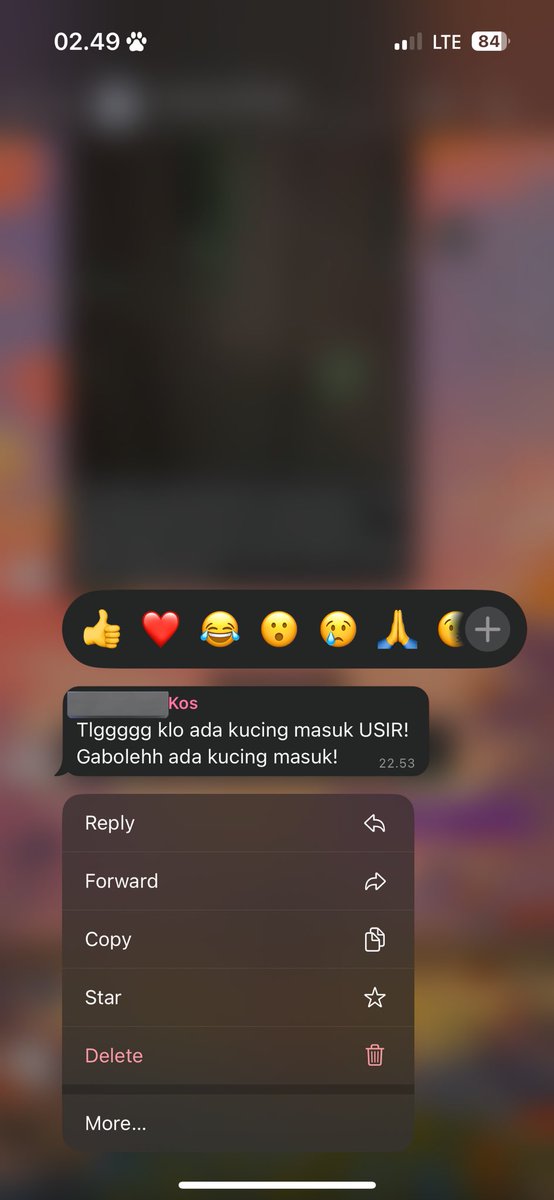 peachyclassy's tweet photo. Ya emg  gasemua orang suka kucing ya, krn gua suka kucing dia sering bgt begini dikira gua sengaja kali masukin kucing ke dalem kos, mana gua tau😫 gua jg tau aturan https://t.co/iD6l39jYMZ