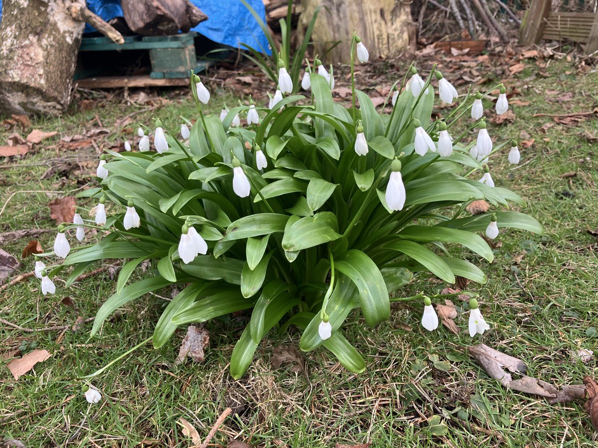 Andrew Benge (#official) tweet media