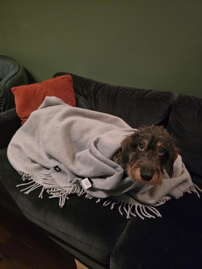 Pål Grønning Kraft tweet media