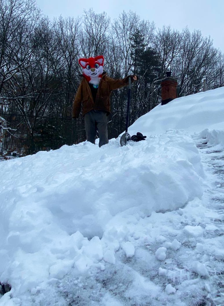 Got enough snow to have to go up and clean the roof off!