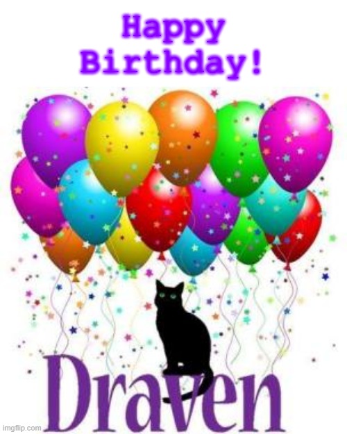 SusieQ6shooter's tweet photo. @HelenFi47049436 #Happy10 #ShareTheLove
#DravenTheTherapyCat https://t.co/1KM9dHnVUd