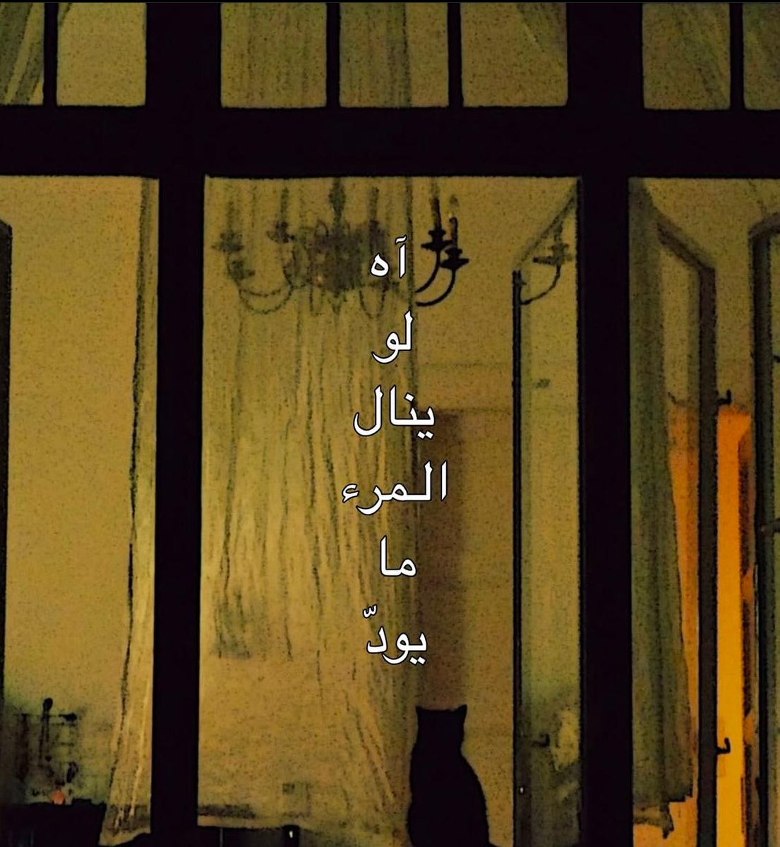 فــذكِّر (@thkkkrr_) on Twitter photo 