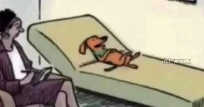 Todo empezó cuando elegí mi carrera por mi propia cuenta