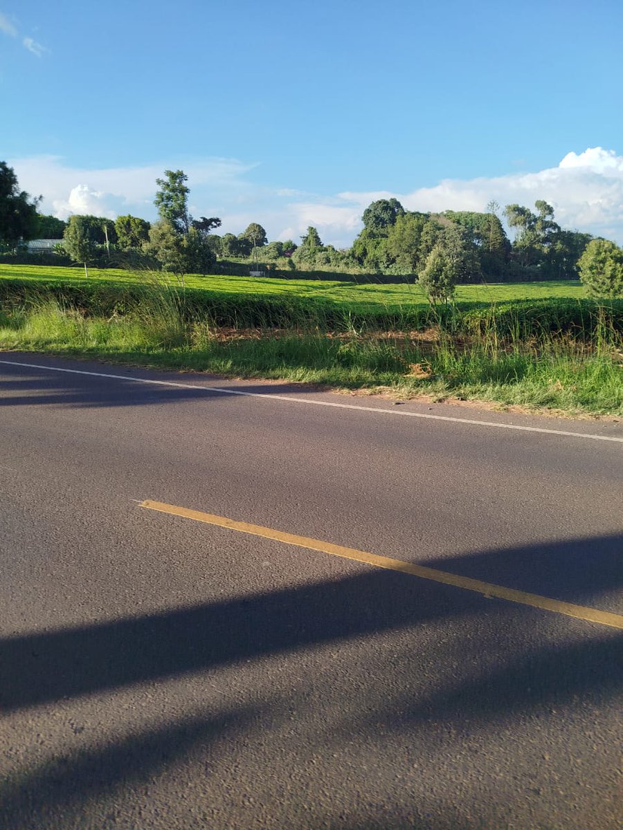 Doctor on Wheels 🏥💊 tweet media