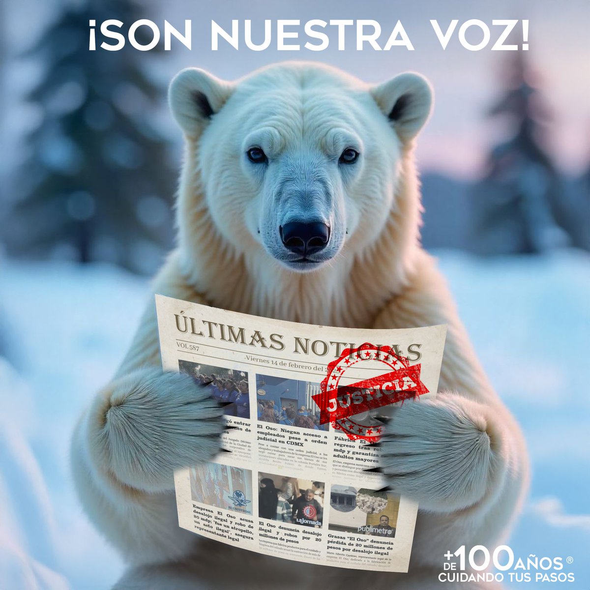 El_Oso_Mexico's tweet photo. Somos una Empresa 100% mexicana, comprometida con nuestra gente y con los valores que nos definen como nación.  
No vamos a rendirnos. Seguiremos luchando hasta que se haga justicia. 
Exigimos que las autoridades actúen con imparcialidad y que la justicia prevalezca #Fuerza 🐻‍❄️❤️ https://t.co/lxbRaiDS8Z
