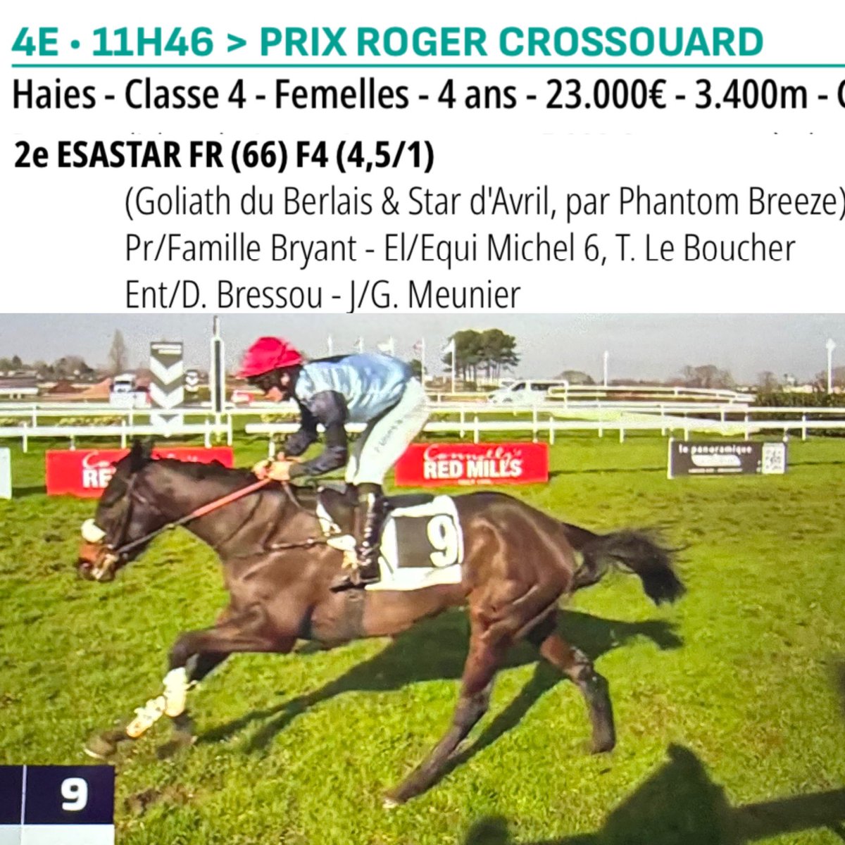 🥈Great second for debut for ESASTAR ❤️🩵💙 at Angers 🇫🇷 

The sister of Milord Thomas by <a href="/Haras_d_Etreham/">Haras d'Etreham</a> Goliath du Berlais shown nice potential for future.
@meusniergabin