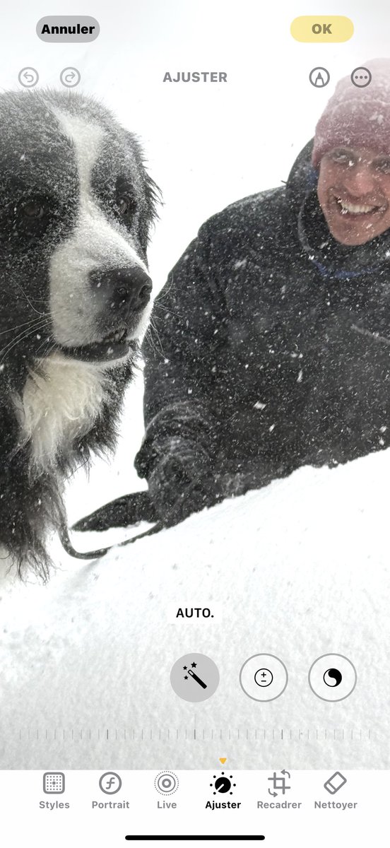 migirard's tweet photo. Que vois-je dans la fenêtre en cette journée de tempête? Fiston Yan avec mon « petit-fils » SAM, le magnifique St-Pierre qu’il a adopté de la Fondation Mira après avoir été déclassé. https://t.co/7ORVclzHtv