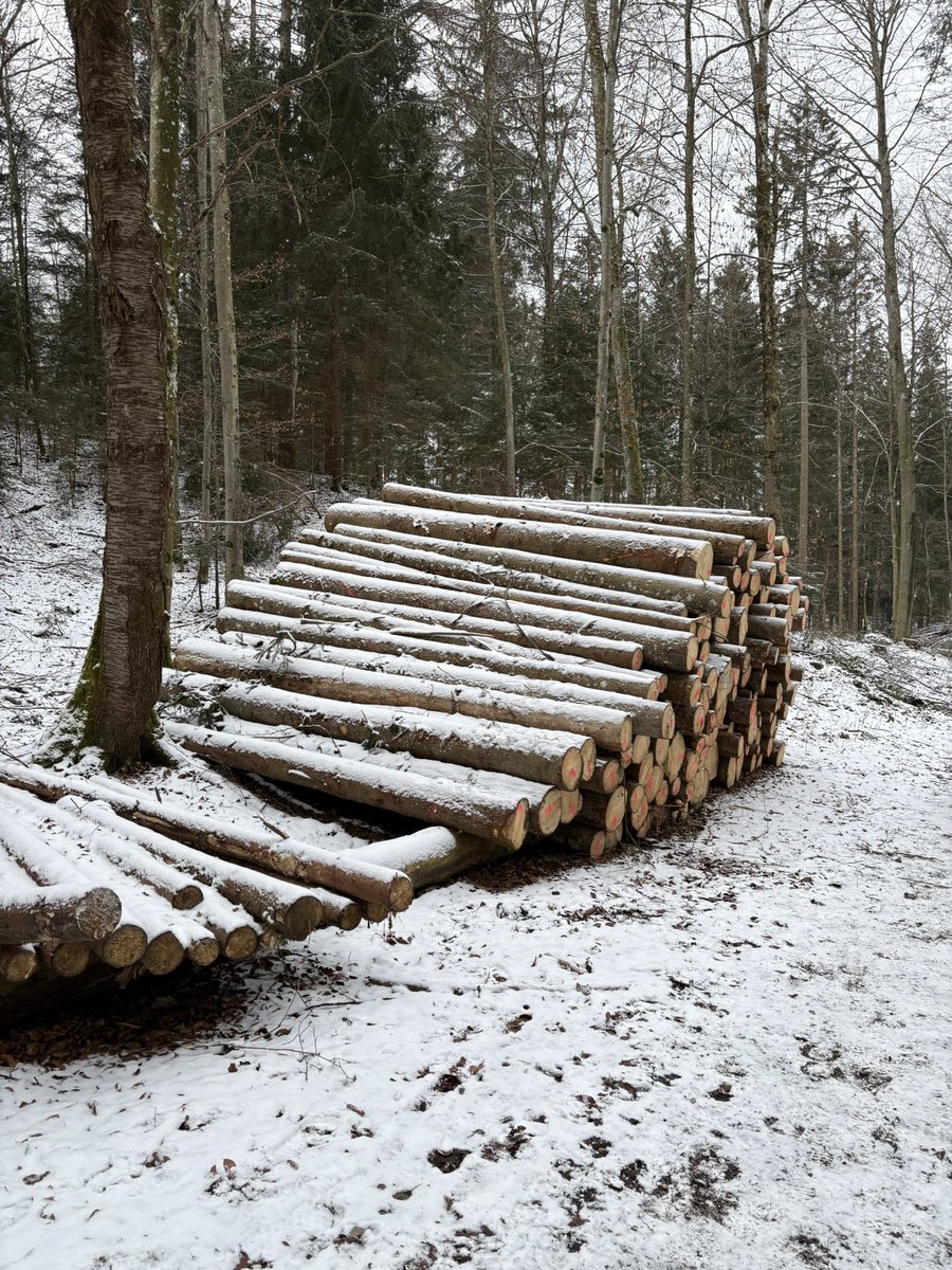Herrmaennchen's tweet photo. Draußen ist immer gut. Gut 10 km um die #Osterseen. https://t.co/3z1HkPZLte