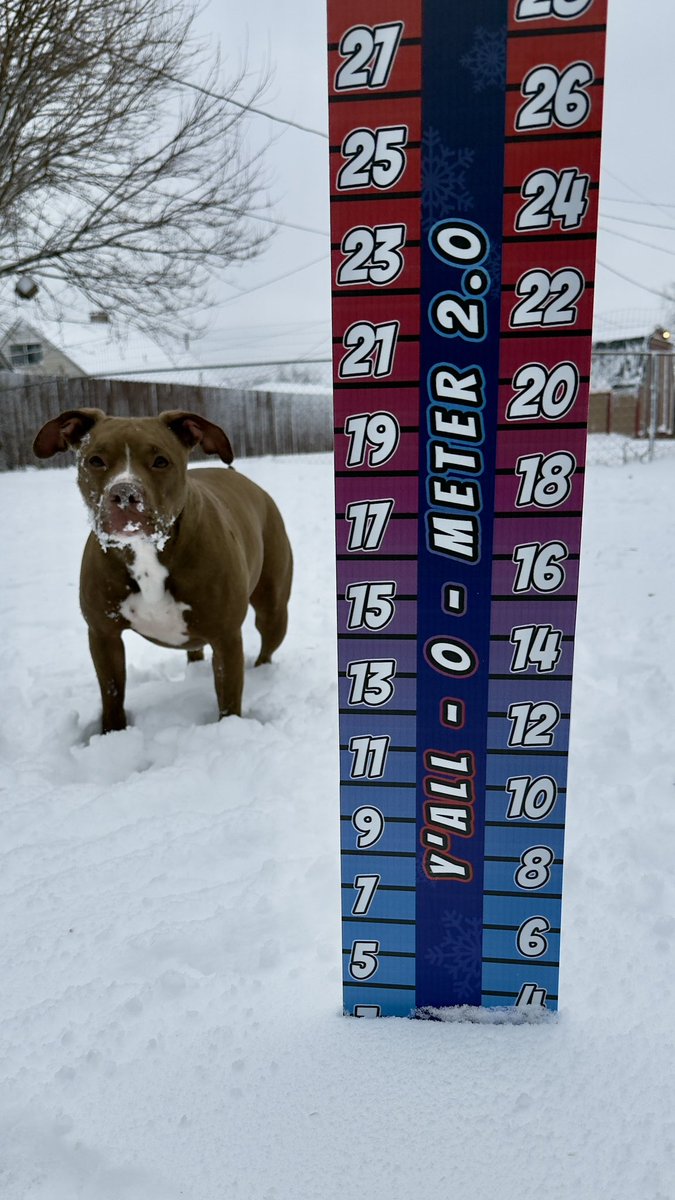 Brenna Riethmiller tweet media