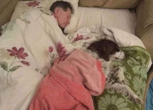 Dog Lovers tweet media