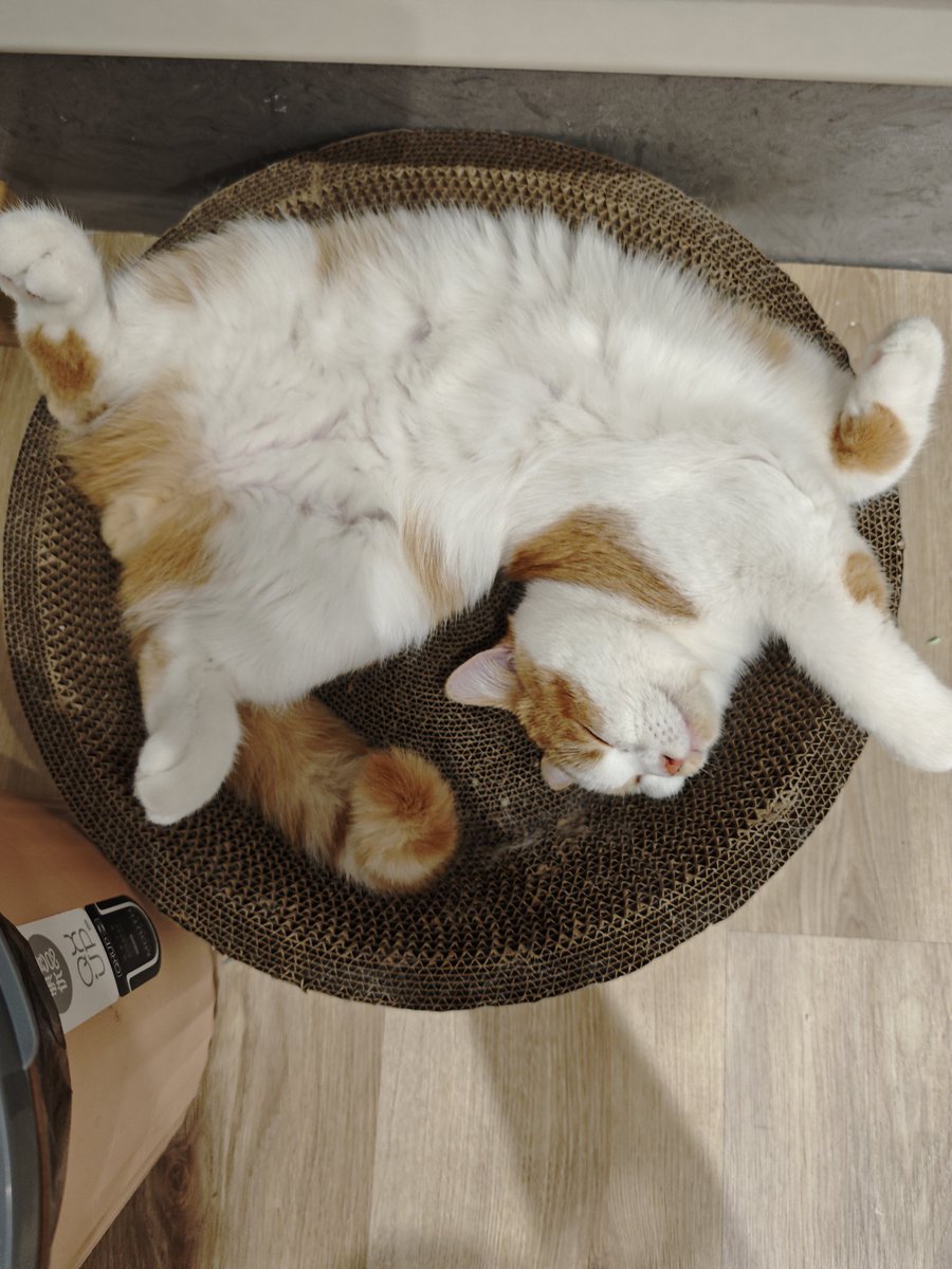 Shelling tweet media