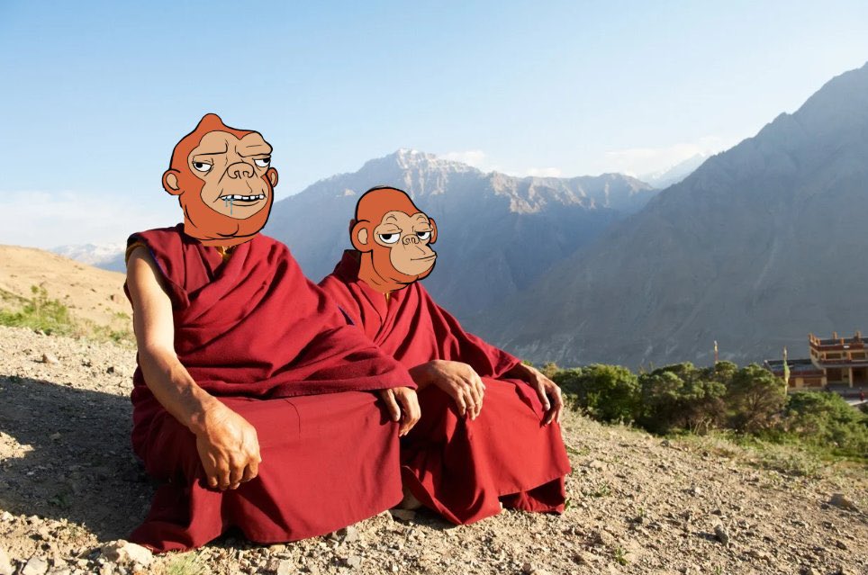 duckape.algo tweet media