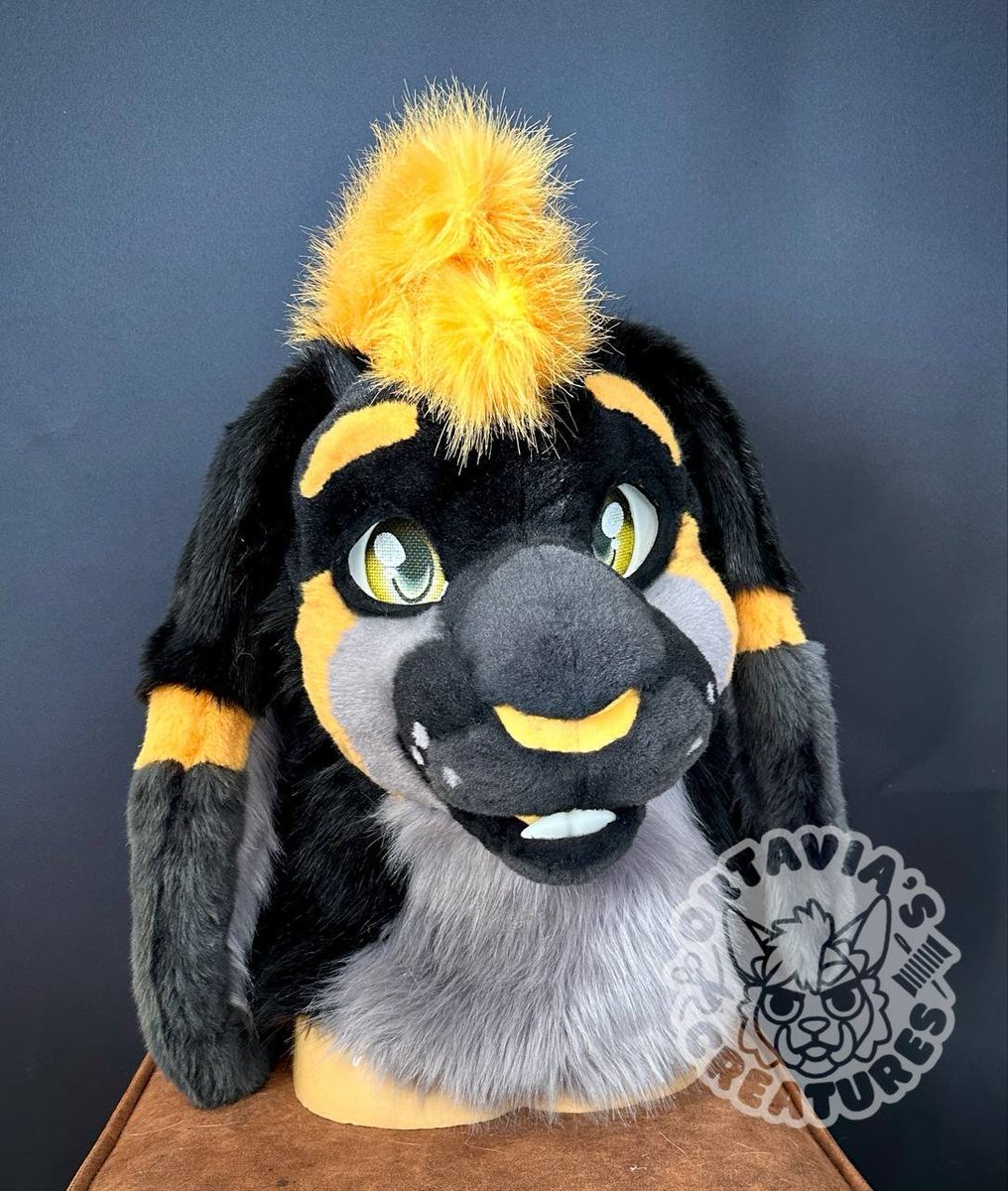 Oktavia’s Creatures tweet media